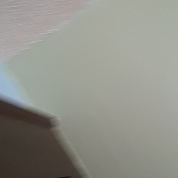 Arrow Wrinkle free button up mens size L - Picture 6 of 13